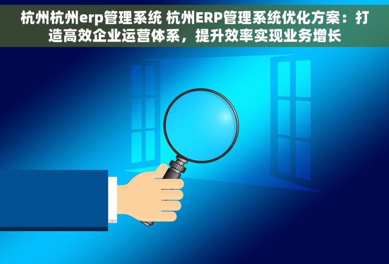 杭州杭州erp管理系统 杭州ERP管理系统优化方案：打造高效企业运营体系，提升效率实现业务增长