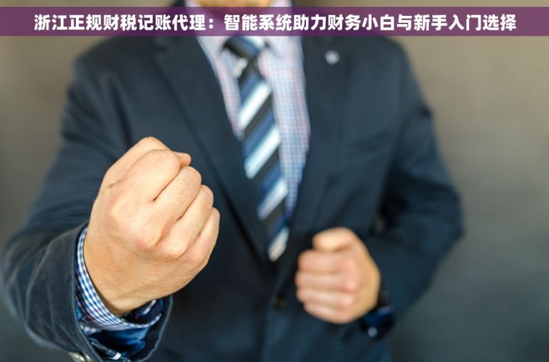 浙江正规财税记账代理：智能系统助力财务小白与新手入门选择