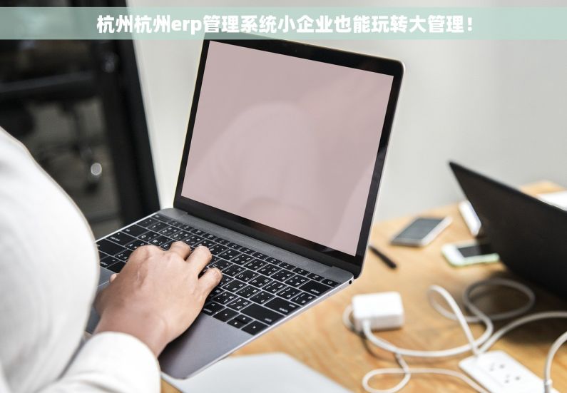 杭州杭州erp管理系统小企业也能玩转大管理！