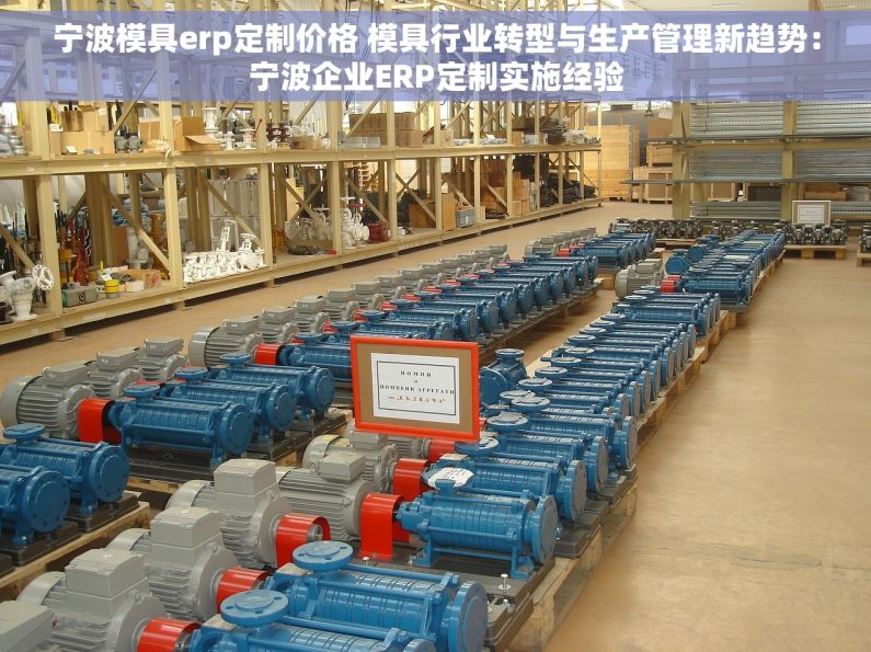 宁波模具erp定制价格 模具行业转型与生产管理新趋势：宁波企业ERP定制实施经验