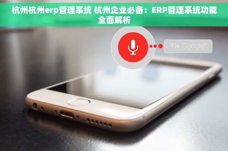 杭州杭州erp管理系统 杭州企业必备：ERP管理系统功能全面解析
