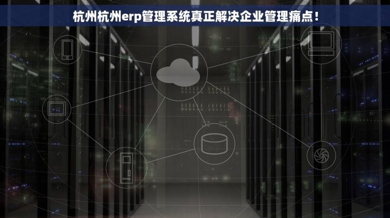 杭州杭州erp管理系统真正解决企业管理痛点！