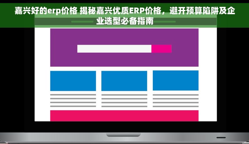 嘉兴好的erp价格 揭秘嘉兴优质ERP价格，避开预算陷阱及企业选型必备指南