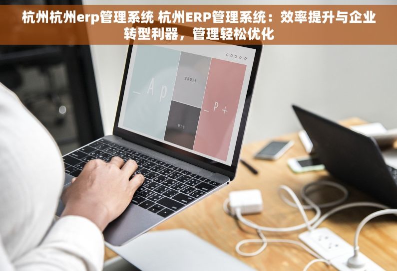 杭州杭州erp管理系统 杭州ERP管理系统：效率提升与企业转型利器，管理轻松优化