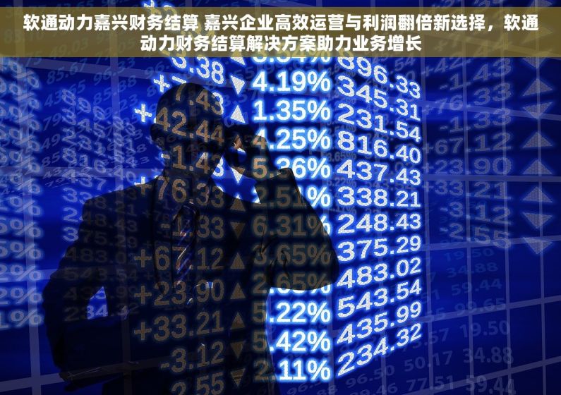 软通动力嘉兴财务结算 嘉兴企业高效运营与利润翻倍新选择，软通动力财务结算解决方案助力业务增长