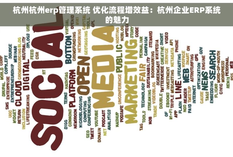 杭州杭州erp管理系统 优化流程增效益：杭州企业ERP系统的魅力