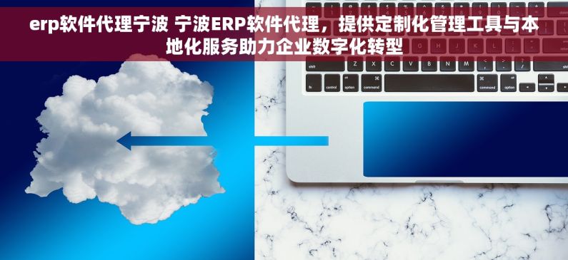 erp软件代理宁波 宁波ERP软件代理，提供定制化管理工具与本地化服务助力企业数字化转型