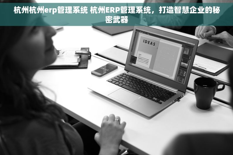杭州杭州erp管理系统 杭州ERP管理系统，打造智慧企业的秘密武器