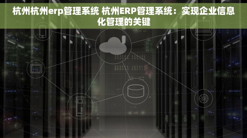 杭州杭州erp管理系统 杭州ERP管理系统：实现企业信息化管理的关键