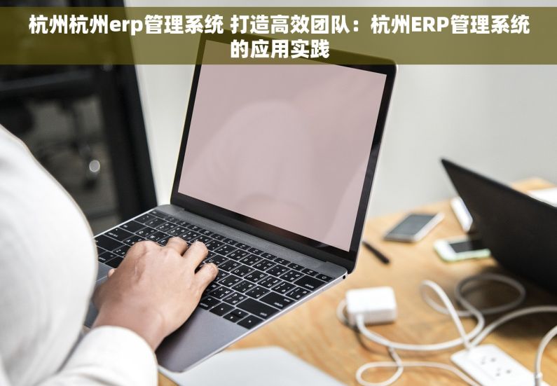 杭州杭州erp管理系统 打造高效团队：杭州ERP管理系统的应用实践