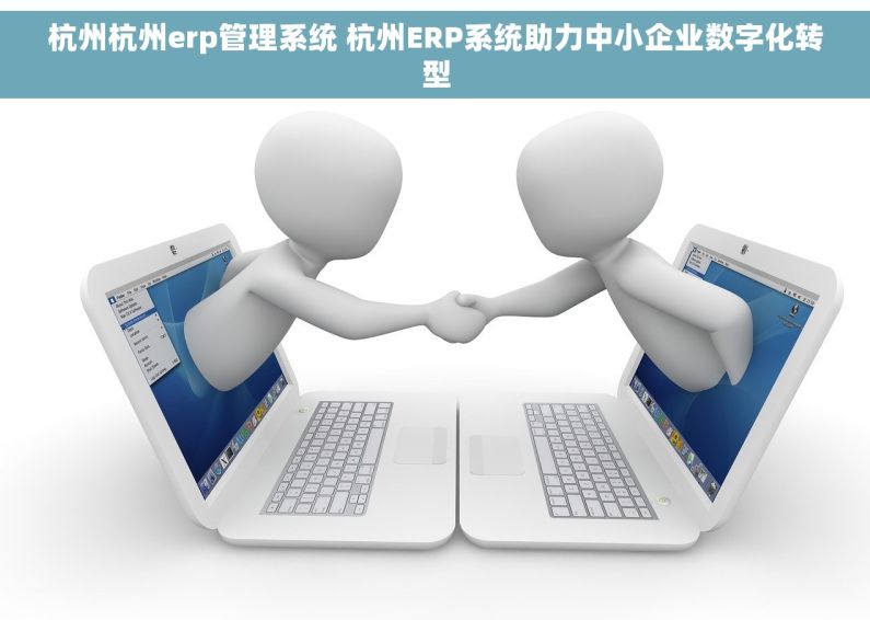 杭州杭州erp管理系统 杭州ERP系统助力中小企业数字化转型
