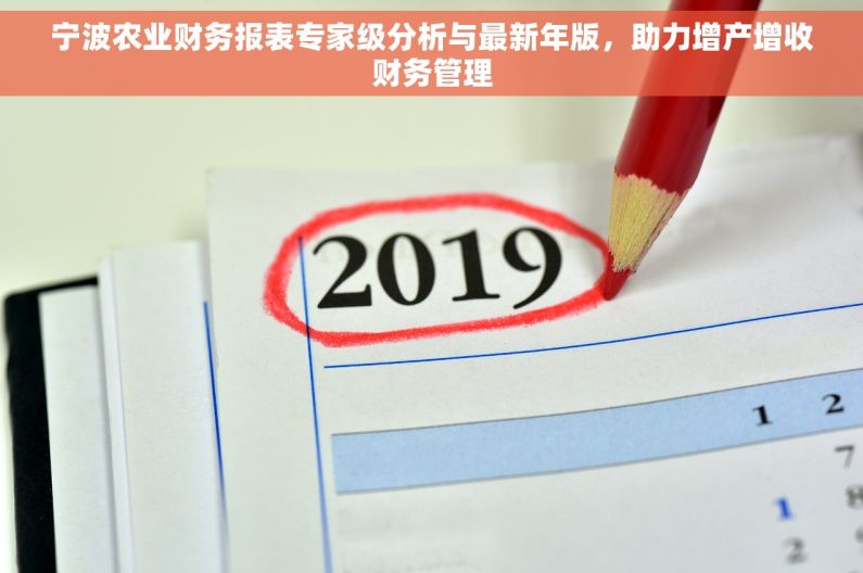 宁波农业财务报表专家级分析与最新年版，助力增产增收财务管理