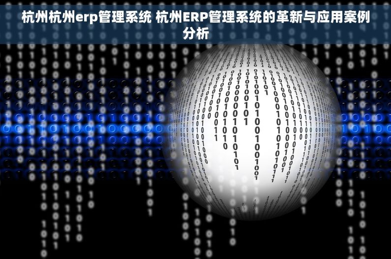 杭州杭州erp管理系统 杭州ERP管理系统的革新与应用案例分析