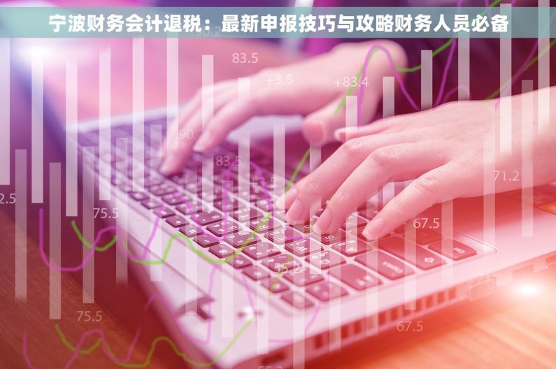 宁波财务会计退税：最新申报技巧与攻略财务人员必备