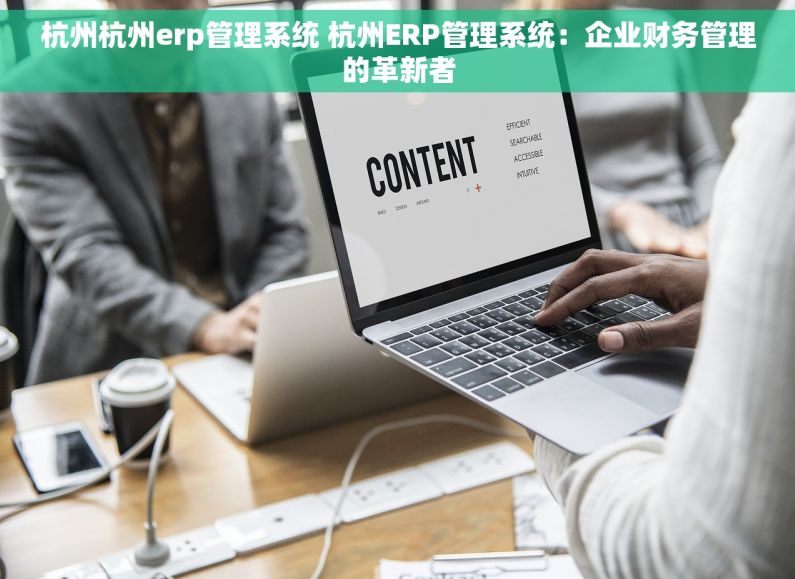 杭州杭州erp管理系统 杭州ERP管理系统：企业财务管理的革新者