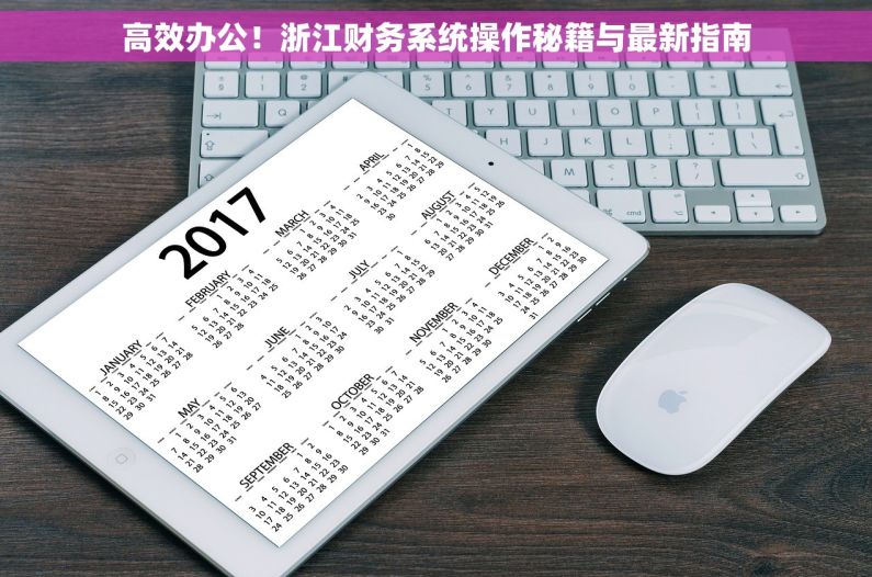 高效办公！浙江财务系统操作秘籍与最新指南