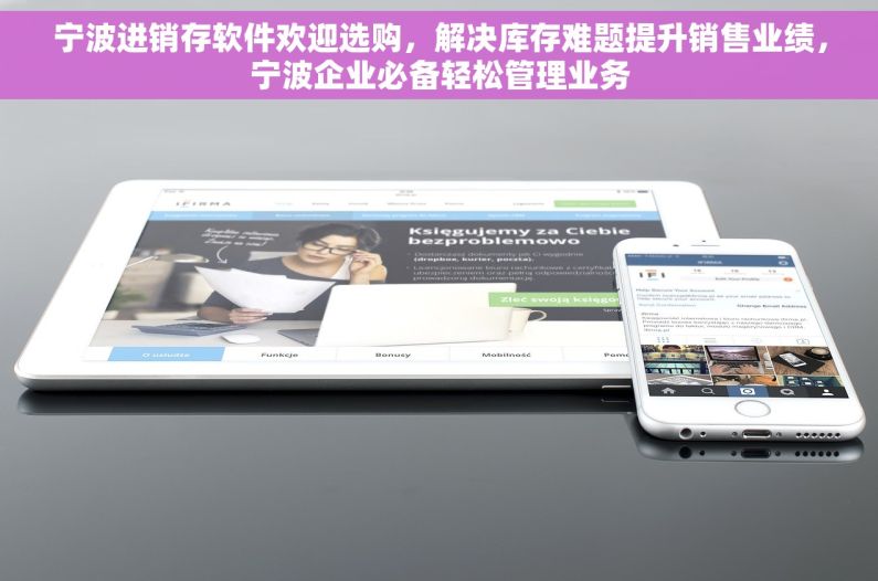宁波进销存软件欢迎选购，解决库存难题提升销售业绩，宁波企业必备轻松管理业务