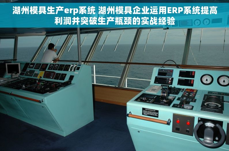 湖州模具生产erp系统 湖州模具企业运用ERP系统提高利润并突破生产瓶颈的实战经验