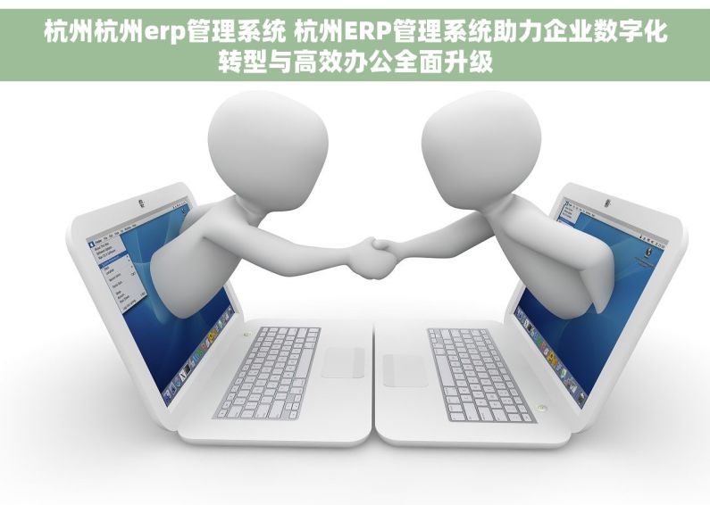 杭州杭州erp管理系统 杭州ERP管理系统助力企业数字化转型与高效办公全面升级
