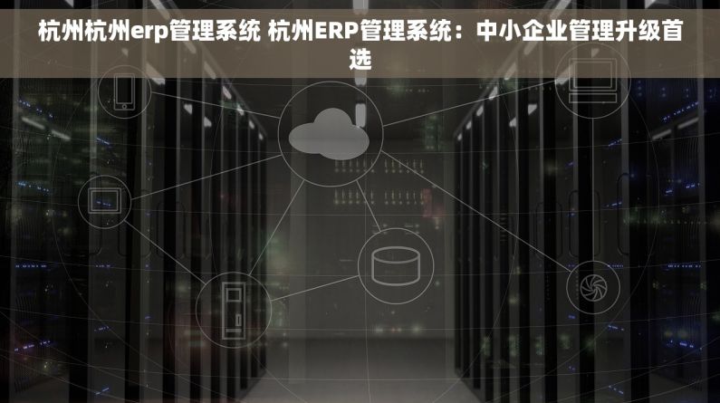 杭州杭州erp管理系统 杭州ERP管理系统：中小企业管理升级首选