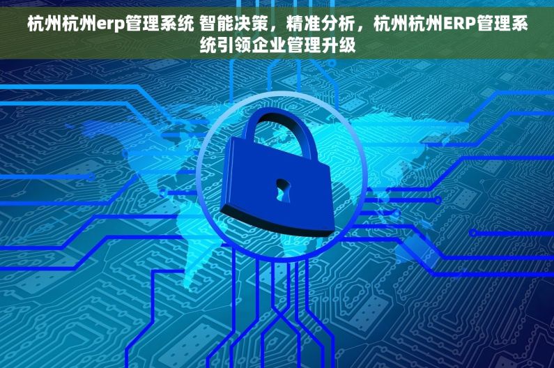 杭州杭州erp管理系统 智能决策，精准分析，杭州杭州ERP管理系统引领企业管理升级