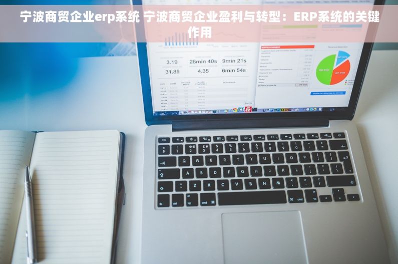 宁波商贸企业erp系统 宁波商贸企业盈利与转型：ERP系统的关键作用