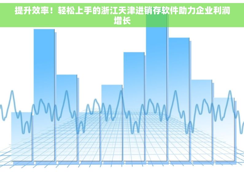 提升效率！轻松上手的浙江天津进销存软件助力企业利润增长
