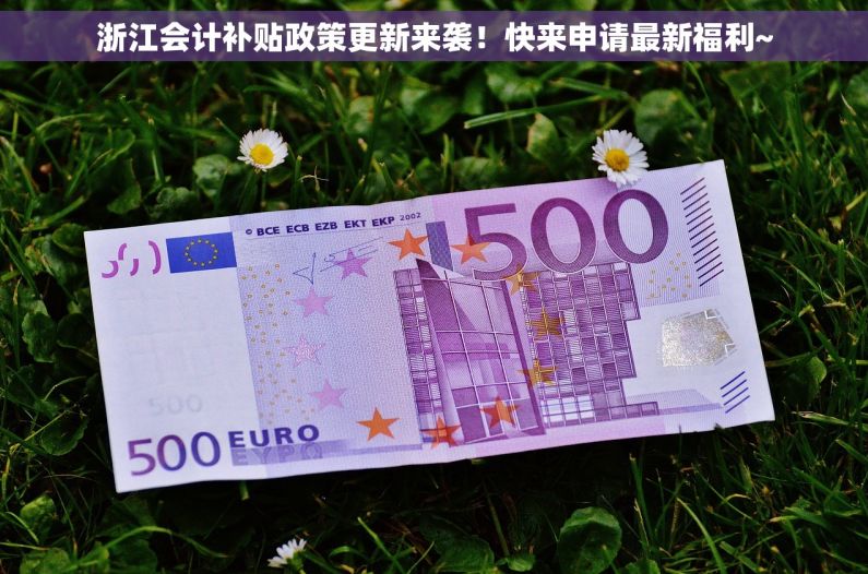 浙江会计补贴政策更新来袭！快来申请最新福利~