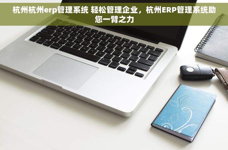 杭州杭州erp管理系统 轻松管理企业，杭州ERP管理系统助您一臂之力