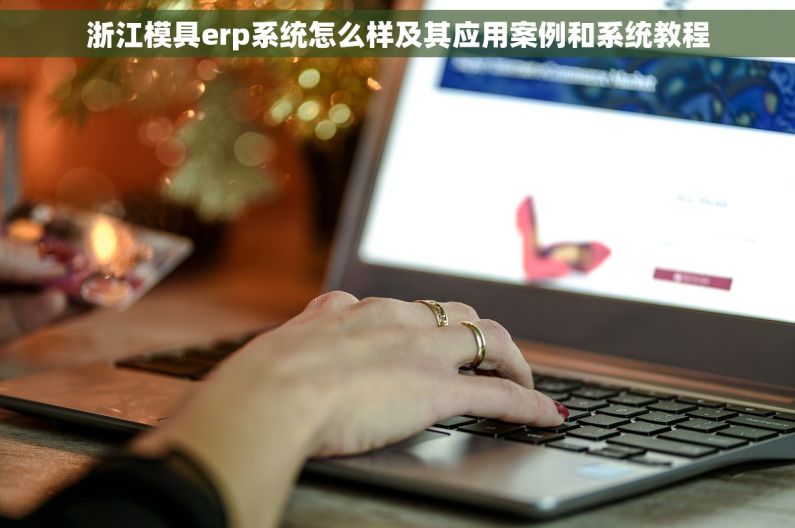 浙江模具erp系统怎么样及其应用案例和系统教程