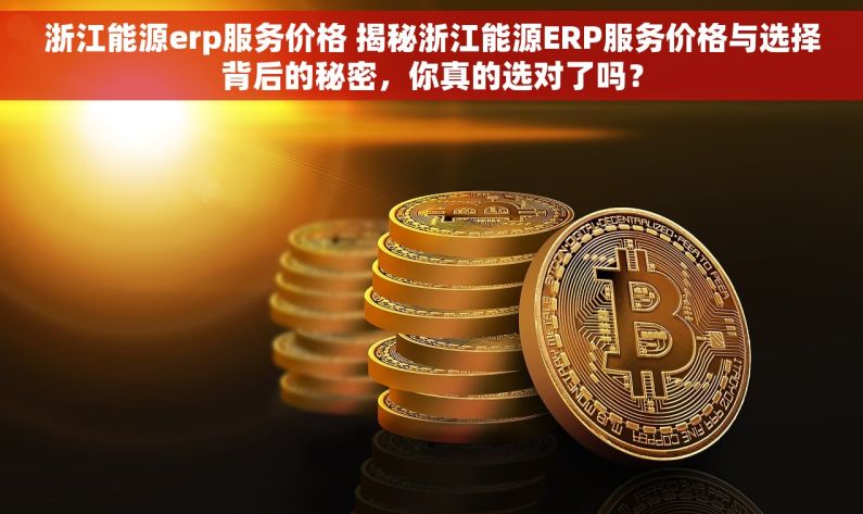 浙江能源erp服务价格 揭秘浙江能源ERP服务价格与选择背后的秘密，你真的选对了吗？
