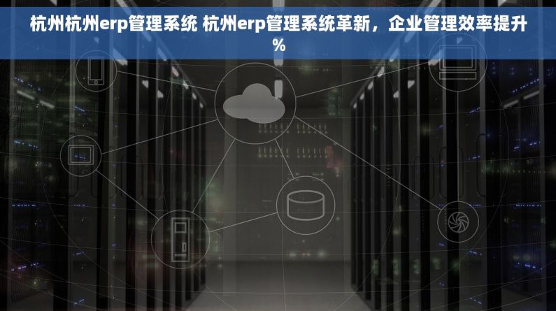 杭州杭州erp管理系统 杭州erp管理系统革新，企业管理效率提升%
