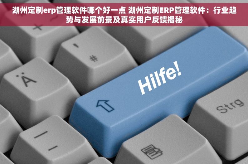 湖州定制erp管理软件哪个好一点 湖州定制ERP管理软件：行业趋势与发展前景及真实用户反馈揭秘