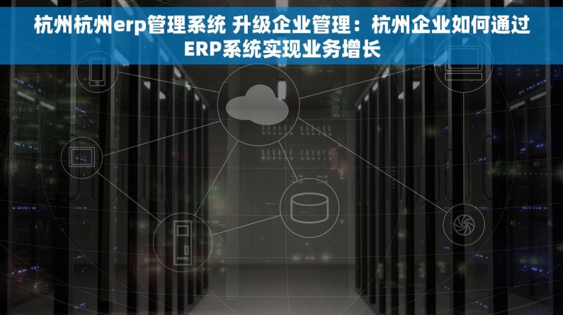 杭州杭州erp管理系统 升级企业管理：杭州企业如何通过ERP系统实现业务增长