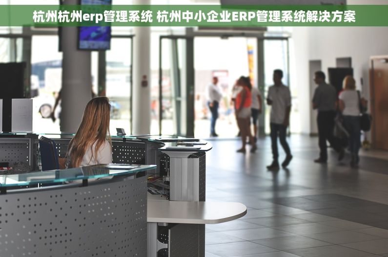 杭州杭州erp管理系统 杭州中小企业ERP管理系统解决方案
