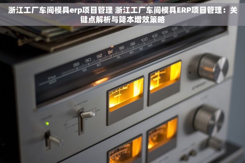 浙江工厂车间模具erp项目管理 浙江工厂车间模具ERP项目管理：关键点解析与降本增效策略