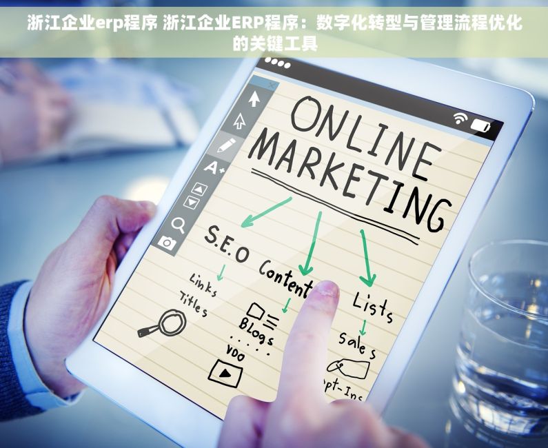 浙江企业erp程序 浙江企业ERP程序：数字化转型与管理流程优化的关键工具