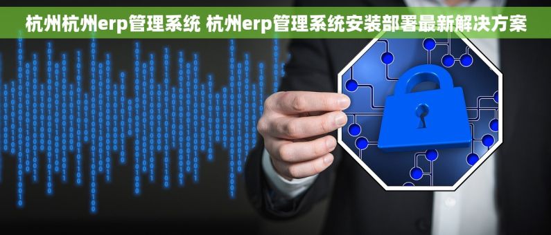 杭州杭州erp管理系统 杭州erp管理系统安装部署最新解决方案