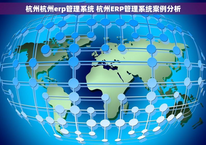 杭州杭州erp管理系统 杭州ERP管理系统案例分析