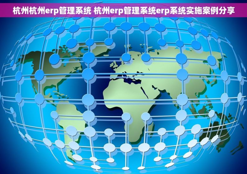 杭州杭州erp管理系统 杭州erp管理系统erp系统实施案例分享