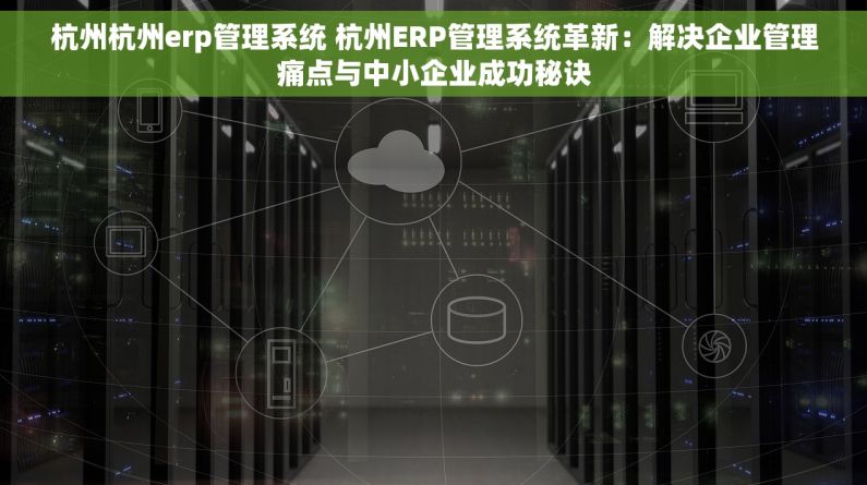 杭州杭州erp管理系统 杭州ERP管理系统革新：解决企业管理痛点与中小企业成功秘诀