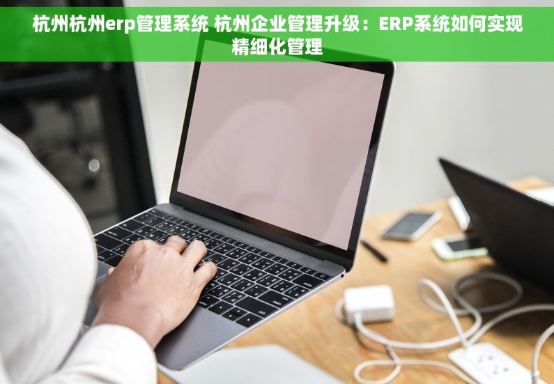 杭州杭州erp管理系统 杭州企业管理升级：ERP系统如何实现精细化管理