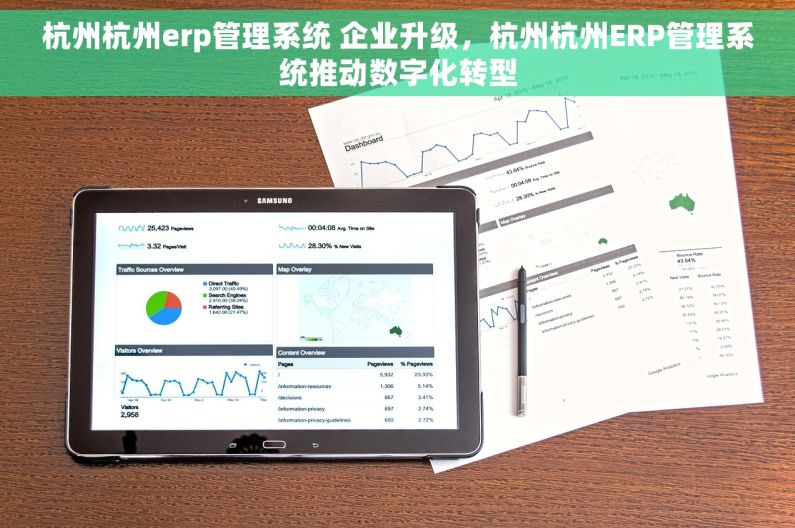 杭州杭州erp管理系统 企业升级，杭州杭州ERP管理系统推动数字化转型