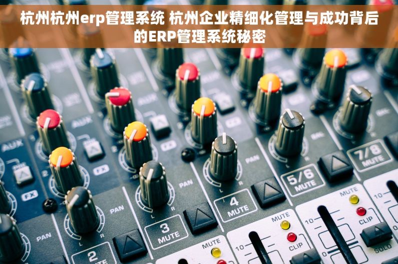 杭州杭州erp管理系统 杭州企业精细化管理与成功背后的ERP管理系统秘密
