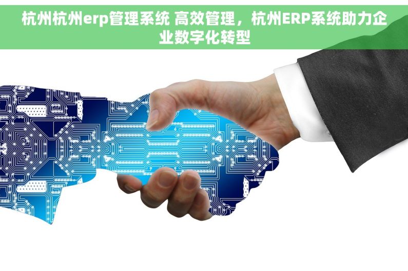 杭州杭州erp管理系统 高效管理，杭州ERP系统助力企业数字化转型