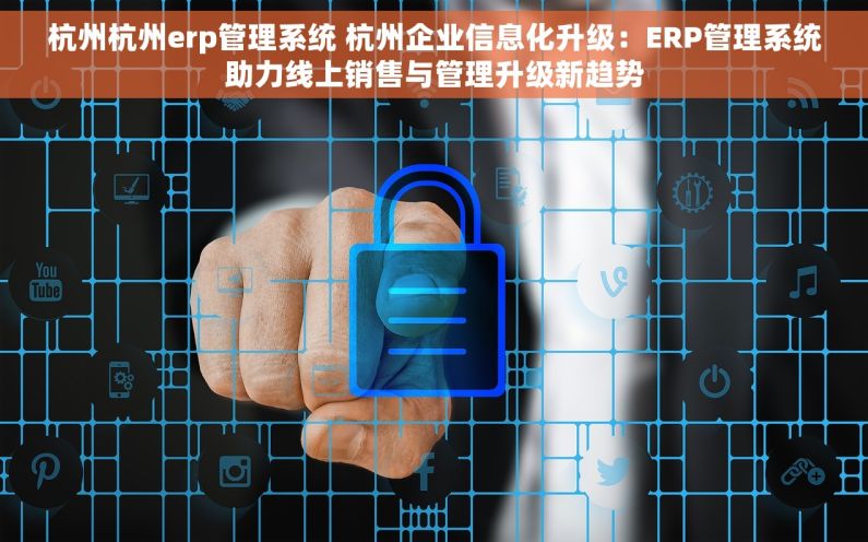杭州杭州erp管理系统 杭州企业信息化升级：ERP管理系统助力线上销售与管理升级新趋势