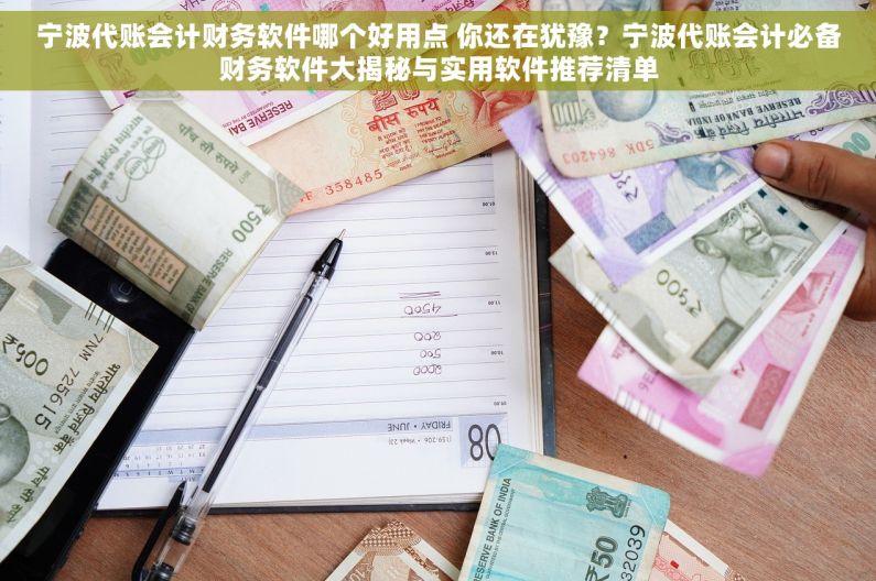 宁波代账会计财务软件哪个好用点 你还在犹豫？宁波代账会计必备财务软件大揭秘与实用软件推荐清单