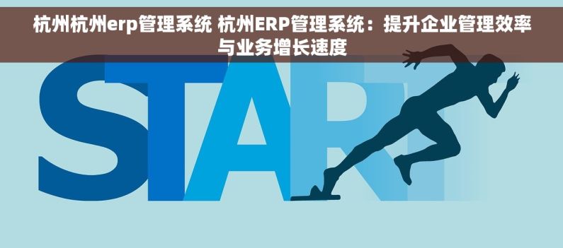杭州杭州erp管理系统 杭州ERP管理系统：提升企业管理效率与业务增长速度