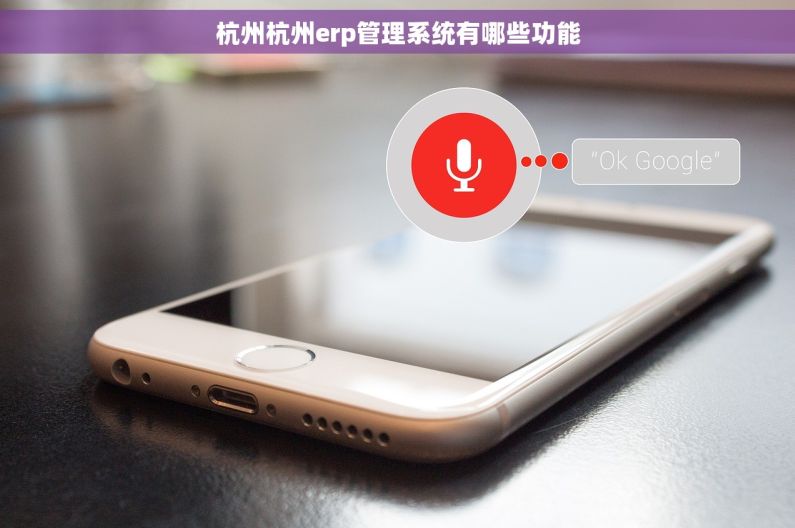 杭州杭州erp管理系统有哪些功能