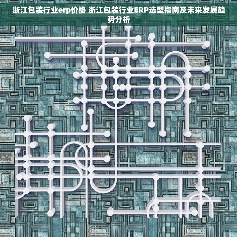 浙江包装行业erp价格 浙江包装行业ERP选型指南及未来发展趋势分析